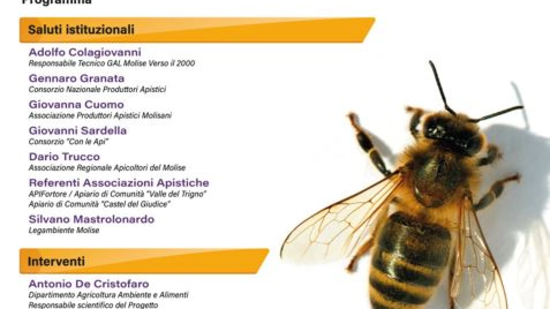 Progetto biomonitoraggio del territorio con api “sentinelle”. Questa sera il convegno a Campobasso.